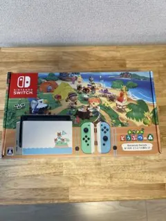 ジャンクあり　Nintendo Switch あつまれ どうぶつの森セット Nintendo (ニンテンドウ) Nintendo Switch あつまれどうぶつの森