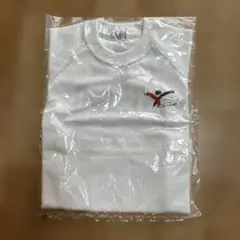 Item thumbnail for item fd95b52c-3f5a-4240-b0ae-00f3119825fc