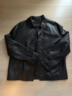 ZARA レザーコレクション ラムレザージャケット