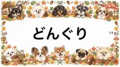 専用