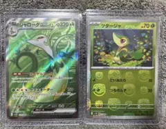 ポケモンカード ツタージャ マスボ マスターボール ジャローダ SR
