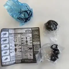 オオエンマハンミョウ　いきもの大図鑑くわがた05