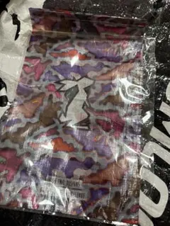 Item thumbnail for item 15debc10-cfd4-4634-82c3-1e4e2344b4ba