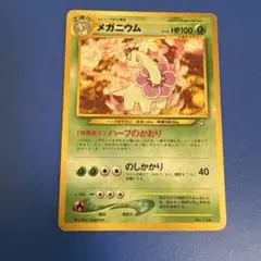 メガニウム_プレミアムファイル PROMO 第1世代 1996~1999