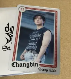 straykids ライブフォトカード チャンビン dominATE