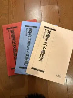 本日のみ出品！新品未使用！駿台2023年 共通テスト 現代文 漢文 参考書セット