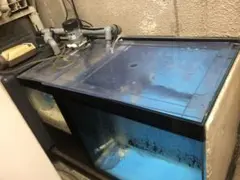 2025年最新】水槽 引き取りの人気アイテム - メルカリ