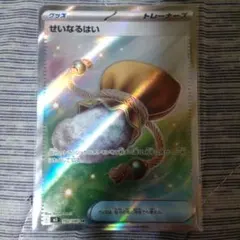 ポケモンカード　せいなるはい SR　カード
