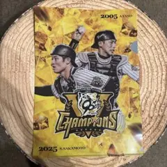 〈タイガース 2025年 CS 坂本誠志郎選手ファイル〉