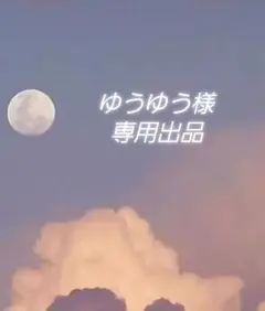 ゆうゆう様 リクエスト 2点 まとめ商品