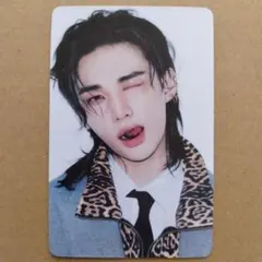 2026年最新】stray kids ヒョンジン トレカの人気アイテム - メルカリ