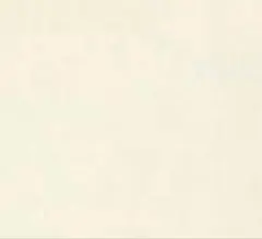 専用