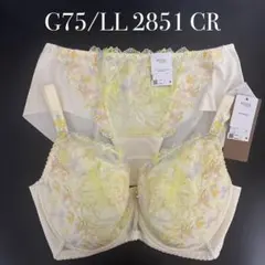 G75/LL 2851 CR ワコール　ウイング　レシアージュのサムネイル