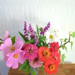 季節の生花　コスモスとジニア+グリーンのブーケ②