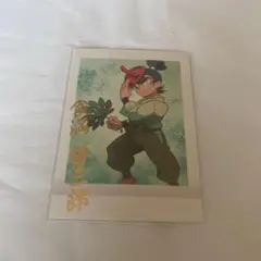 食満留三郎 ぱしゃこれ