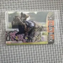 2025年最新】キタサンブラックサイン入りの人気アイテム - メルカリ