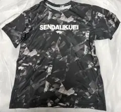 超希少 横浜高校 野球部 甲子園記念Tシャツ 100回大会 - メルカリ