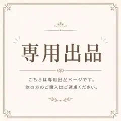 専用出品
