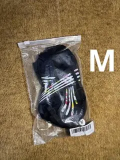 Item thumbnail for item fa0cda60-a2c4-4c7d-9248-289b96e06775