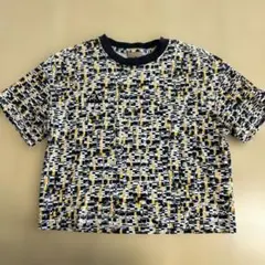 Item thumbnail for item 325ca295-1777-48fe-b60c-76d0ac36d485