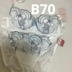 B70 チュチュアンナ　ブラショーツセット