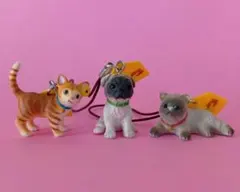 Item thumbnail for item daa367d5-bfd3-46d0-80d7-70451fd87570