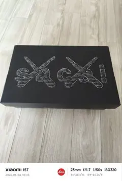 NIKE BLAZER LOW / SACAI / KAWS 8.5