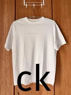 【最終値下げ❗️】カルバンクラインジーンズ メンズ 半袖Tシャツ サイズＭ