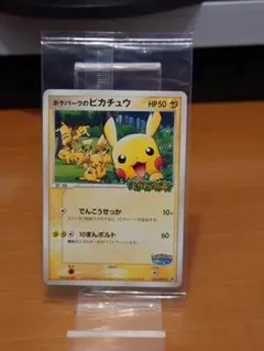 【アルト⭐️日曜限定値下げ⭐️】ポケモンカード ポケパークのピカチュウ 2025年最新】ポケパークのピカチュウの人気アイテム - メルカリ