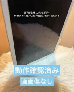 Apple iPad シルバー 動作確認済み 第5世代