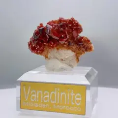 新品未使用】Carlo Valentinoチタン ゲルマニウム ブレスレット - メルカリ