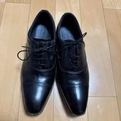 Item thumbnail for item 1f31c93f-4c9c-4546-92f2-54d2f4cb70df