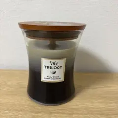 箱付・レア】ウェッジウッド ニックモンロー スパイラルディッシュ