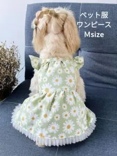 ペット服 ワンピース Ｍ 花柄 グリーン 緑　犬服