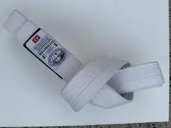 Item thumbnail for item 1c66f585-82ba-41d1-a93a-d8cbe03bc87a