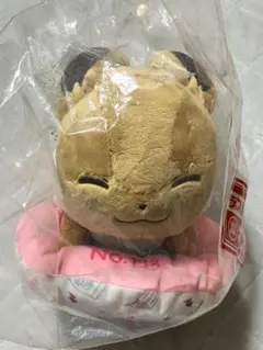 ポケモン 一番くじ ラストワン賞 イーブイ