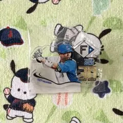 北海道日本ハムファイターズ　鎌スタ　アクリルスタンド　郡司裕也選手　カビー 北海道日本ハムファイターズ 郡司裕也 アクリルスタンド - メルカリ