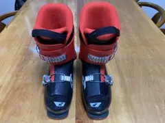 Item thumbnail for item 8b308bef-5c34-49b8-a865-36221323e93a