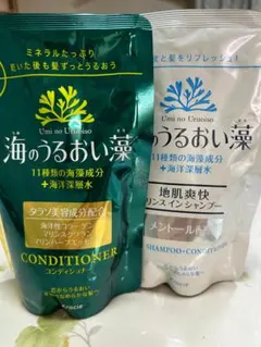 【お買い得】海のうるおい藻2種類と　CLAY ESTHE PSCKトリートメントのサムネイル