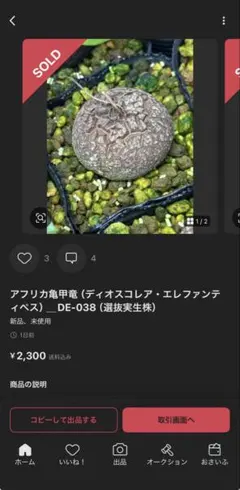 ☆tantan358☆様専用（速達）