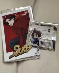 WIND BREAKER トレーディング箔押しブロマイド　蘇枋隼飛