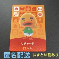 みず様 リクエスト 2点 まとめ商品