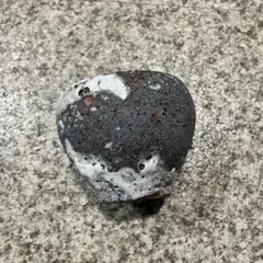 2025年最新】阪本健 鉢の人気アイテム - メルカリ