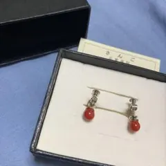 赤珊瑚　イヤリング　返礼品　品質保証書付