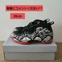 【28cm】NIKE Air Foamposite One 箱無し