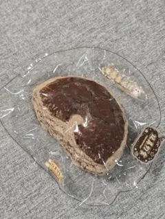 蛋巻卷不过 チョコ スクイーズ