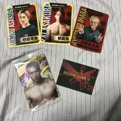 Item thumbnail for item 2fac66f8-bb81-4084-bfb5-5c69dc74f37a