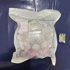 【1/3まで出品】Snow Worldペンライト SnowMan