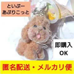 といぷーあぷりこっと◎コロンとべびわんこ◎ころふわめじるしチャーム◎トイプードル