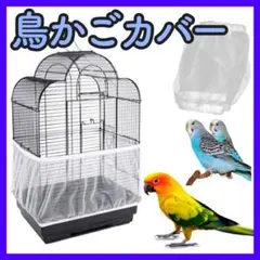 Item thumbnail for item 4b12fa9b-db92-4607-9eba-bb2bd19e3b60